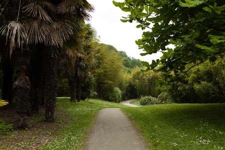Beautiful Alley In Park. Garden Landscaping Design Conceptの写真素材