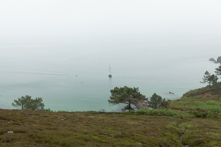 foggy day on the coast with green grass on the rocks Crozon, France 29 May 2018.の写真素材