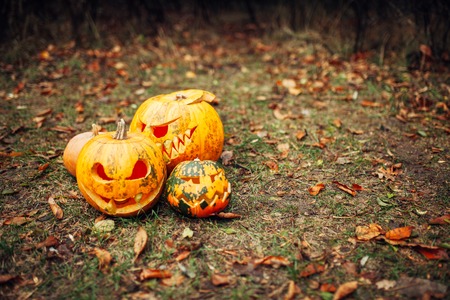many Pumpkin for Halloween, lamp pumpkin, antique wood, celebrating halloween, smiley on a pumpkin, autumn dry leaves, bright background, funny and angry faceの写真素材