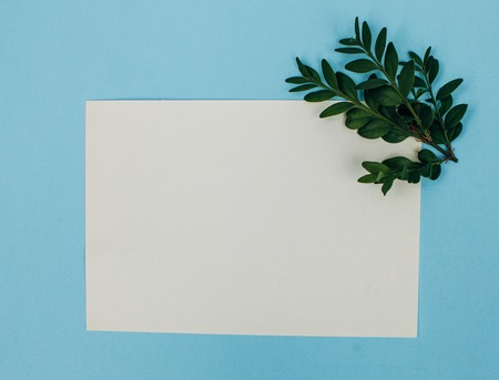 Desktop mock-up with blank paper card, branch on white shabby table background. Empty space. Styled stock photo, web banner. Flat lay, top view.の写真素材