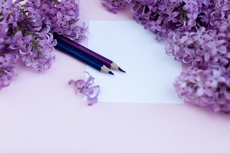Sheets of white clean paper and spring flowers lilac, on a color background background. Spring concept flat layの写真素材