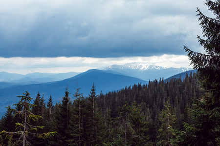 landscape in mountains Carpathians Ukraine, Dragobrat Horizontal imageの写真素材