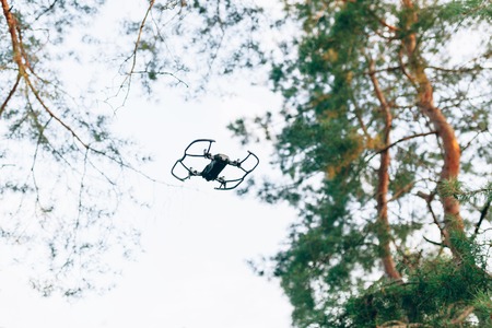Small Smart Drone quadrocopter Flying on White Sky and Green trees. Technology of photo and video...