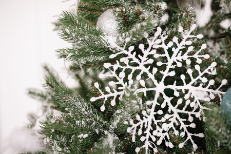 White snowflake at the powdered with snow christmas treeの写真素材