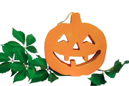 Halloween orange pumpkin on the bough of chesnut on white backgroundの写真素材