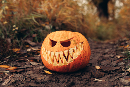 halloween jack-o-lantern with antropomorfic smiling face on autumn leaves Outdoor holiday cardの写真素材
