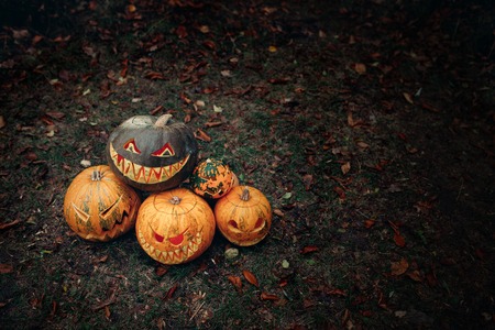 Group of halloween pumpkins with a carved face lying on the ground in a dark mystical forest Perfect for happy halloween cardの写真素材