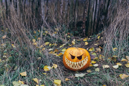 halloween jack-o-lantern with antropomorfic smiling face on autumn leaves Outdoor holiday cardの写真素材