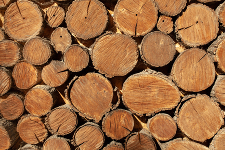 wood round timber background close up. Natural wooden patternの写真素材