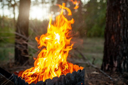 Grill with great fire. Flames burst high. Barbecue in nature.の写真素材