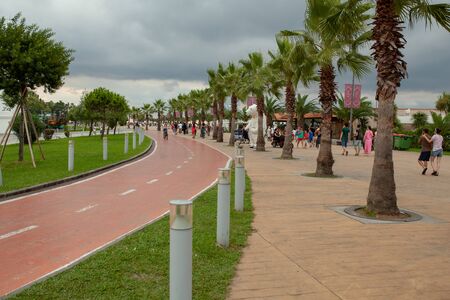 Batumi, Georgia - August 2018: Palm trees alley at promenade of Batumi, Georgia and bicycle road pathのeditorial素材