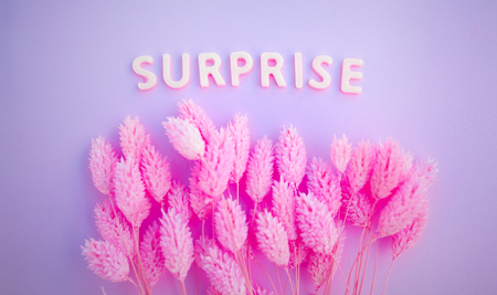 Beautiful pink dried flowers on a pink background with the inscription surprise in white letters and free space under the text. Minimal greeting card designの写真素材