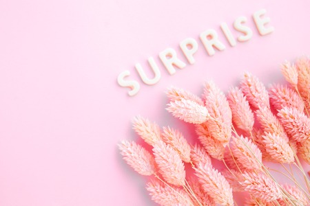 Beautiful pink dried flowers on a pink background with the inscription surprise in white letters and free space under the text. Minimal greeting card designの写真素材