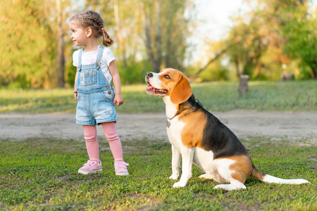 Little Caucasian girl walks with her dog in the summer in the park on the nature. Breed beagle summertime leisure. Friendship with animalの写真素材