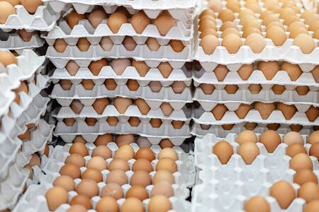 A lot of chicken eggs in special cardboard packaging, trays are on the shelf of the store. Agricultural backgroundの写真素材