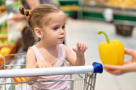 Little Caucasian girl chooses fresh vegetables in the supermarket. A child buys sweet pepper healthy food for the whole family.の写真素材