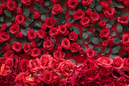 Artificial roses glued to the wall. Beautiful background of their bright red flowers closeの写真素材