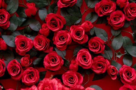 Artificial roses glued to the wall. Beautiful background of their bright red flowers closeの写真素材