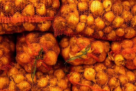 Plastic net bags of onion seeds ready for planting out in the field in a close up full frame view conceptual of farming and crop production Vegetables on the store marketの写真素材