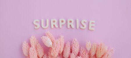 Beautiful pink dried flowers on a pink background with the inscription surprise in white letters and free space under the text. Minimal greeting card designの写真素材