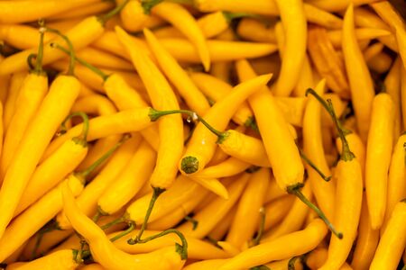 Hot orange pepper, Orange chili peppers, Heap Of Ripe Big yellow Peppers, chili background closeup On the market の写真素材