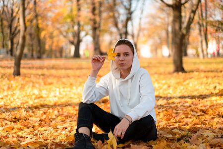 Woman in a white sweater with a hood sits on ground in the park and holding a leaf in her hands. Cute girl in white hoodie is sitting on the yellow leaves carpetの写真素材