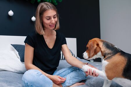 Young beautiful woman playing with dog sitting on bed in a stylish bedroom. Domestic animals at home. Beagle dog. Friendship. Comfort cosinessの写真素材