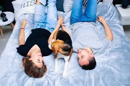 Young couple sitting on a bed in the bedroom, hugging. Near them is their dog. Domestic animal Beagleの写真素材