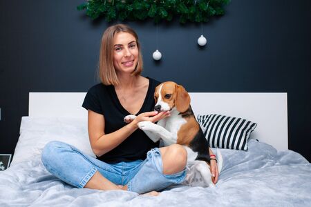 Young beautiful woman playing with dog sitting on bed in a stylish bedroom. Domestic animals at home. Beagle dog. Friendship. Comfort cosinessの写真素材