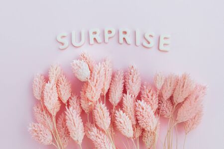 Beautiful pink dried flowers on a pink background with the inscription surprise in white letters and free space under the text. Minimal greeting card designの写真素材