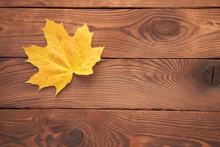 One orange maple autumn leaf lies on vintage wooden background top view Seasonal concept. Fall is...
