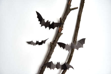 Halloween decoration concept black paper bats dry branch stick white cardboard background With copy...