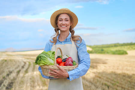 Woman farmer straw hat holding basket vegetable onion tomato salad cucumber standing farmland smiling Female agronomist specialist farming agribusiness Happy Girl dressed apron cultivated wheat fieldの写真素材