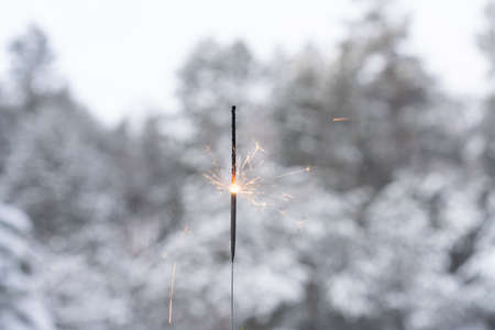Winter landscape with sparkler on foreground of the snow in the pine forest. Landscape Beautiful in nature Bengal lightの写真素材