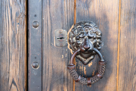 Lion head door handle on classic vintage door with copy space Old dirty doorknoobの写真素材