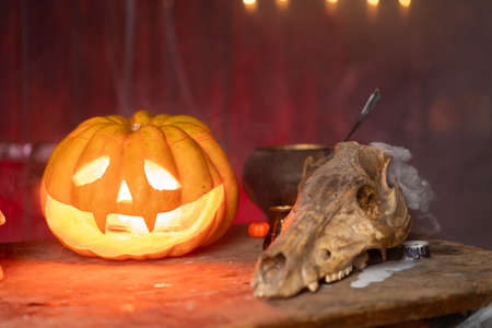 Halloween. Scary Halloween pumpkin with carved face on table in dark room with human skull and animal skull. Copy space for text. Spooky atmosphere.の写真素材