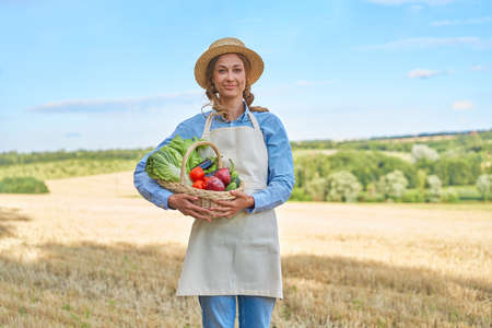 Woman farmer straw hat holding basket vegetable onion tomato salad cucumber standing farmland smiling Female agronomist specialist farming agribusiness Happy Girl dressed apron cultivated wheat fieldの写真素材