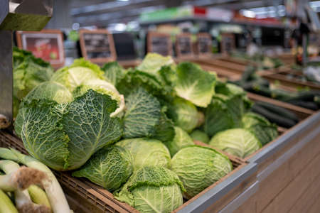 Raw juicy cabbage in plastic basket on the shelf in the supermarket. Green cabbage on grocery store displayの写真素材