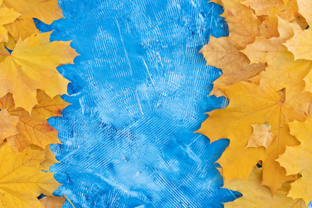 Autumn leaves frame left right side blue structured background top view Fall Border yellow and Orange Leaves vintage background table Copy space. Mock up for your design. Display for product or textの写真素材