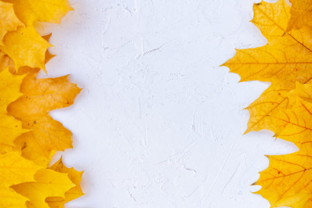 Autumn leaves frame left right side white structured background top view Fall Border yellow and Orange Leaves vintage background table Copy space. Mock up for your design. Display for product or textの写真素材