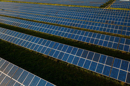 From above of solar panels on agricultural land during sunny day. The field is fully equipped with...