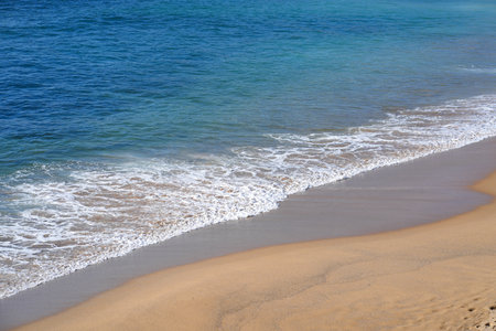 Tropical sandy beach with turquoise ocean water and gentle waves. A sunny day creates a bright, peaceful atmosphere along the shoreline, perfect for relaxationの写真素材