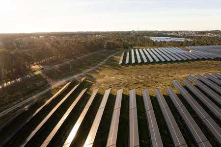 Drone view of large solar farm with multiple rows of solar panels installed on grassy land. Sunlight...