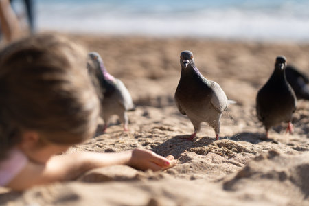 Girl on sandy beach extending hand to feed pigeons under sunlight near ocean waves. Pigeons standing on sand textured. Background slightly blurred, focus on pigeons in foregroundの写真素材