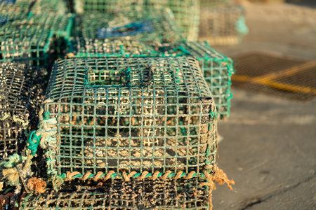 Sturdy crab traps are neatly arranged on a wooden dock in a coastal fishing location. Golden light of late afternoon casts shadows, highlighting the materials used in trap construction.の写真素材