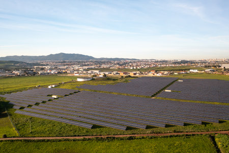 Vast solar panels stretch across a green field, capturing sunlight to generate renewable energy....