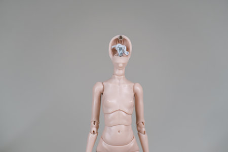 Ball jointed doll body with open head revealing internal mechanism for customization and assembly displayed against plain gray studio backgroundの写真素材