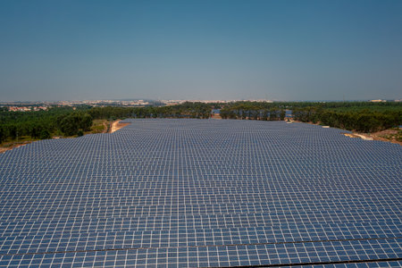 Aerial drone view of large solar power plant surrounded by trees and clear blue sky generating sustainable clean energyの写真素材