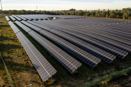 Solar farm with rows of panels on field on sunny day, highlighting renewable energy in reducing pollution and supporting sustainable futureの写真素材