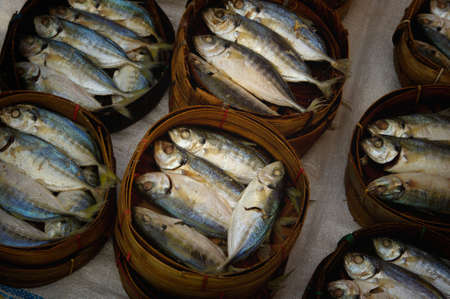 barrels of fish の写真素材